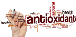 antioxidant word wall