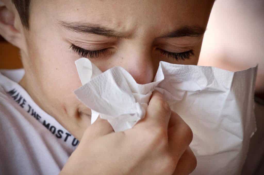 Person sneezing into tissue